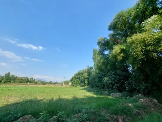 Detached 1.300 M2, 250M2 Bargain Land With Construction Rights For Sale In Köyceğiz Beyobası