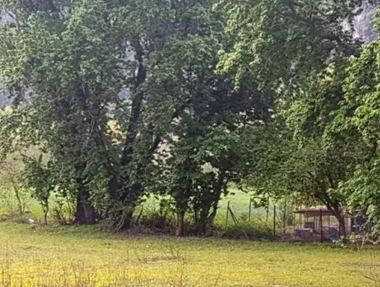 3 577 M2 Land Suitable For Zero Investment On Dalyan Main Road In Muğla Ortaca Okçular