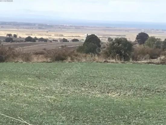 Canakkale Biga Koruobada Sea View Bargain 9 715 M2 Detached Detached Fertile Land For Sale