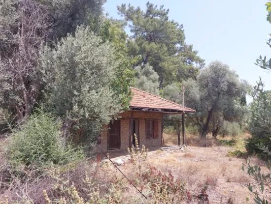 Village House With Lake View And Olive Grove Land For Sale In Köyceğiz Çandır, Muğla