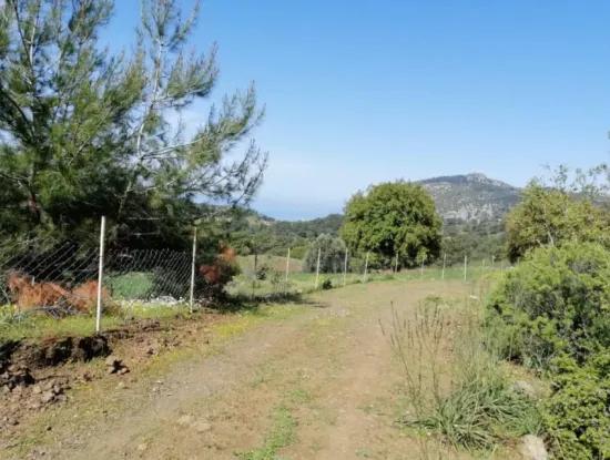 Muğla Ortaca Gökbelde 3200 M2 Shared Land For Sale