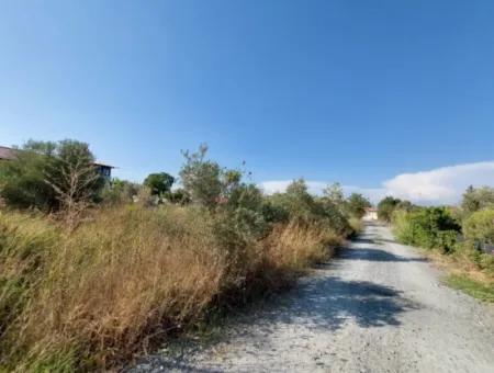 817 M2 Zoned Land For Sale In Muğla, Dalyan