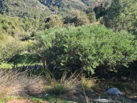 15.000 M² Detached Land With Sea View For Sale In Fethiye İnlice