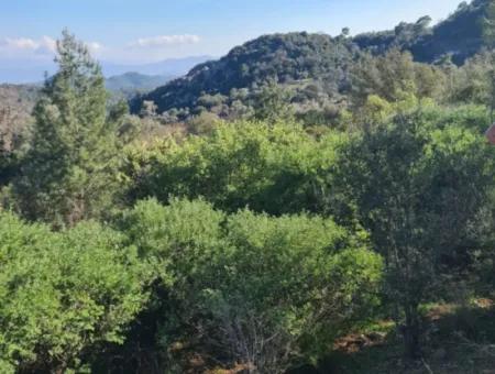 15.000 M² Detached Land With Sea View For Sale In Fethiye İnlice
