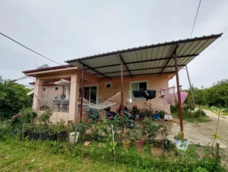 Village House And Farm For Sale On 6.650 M² Fertile Land In Muğla Köyceğiz Poplar