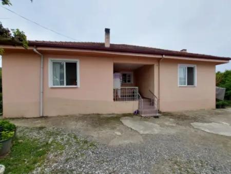 Village House And Farm For Sale On 6.650 M² Fertile Land In Muğla Köyceğiz Poplar