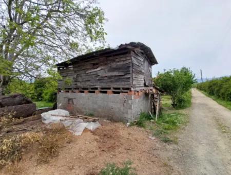 Village House And Farm For Sale On 6.650 M² Fertile Land In Muğla Köyceğiz Poplar