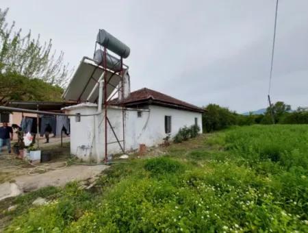 Village House And Farm For Sale On 6.650 M² Fertile Land In Muğla Köyceğiz Poplar