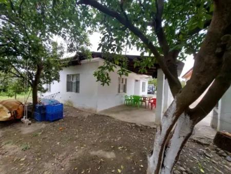 Village House And Farm For Sale On 6.650 M² Fertile Land In Muğla Köyceğiz Poplar
