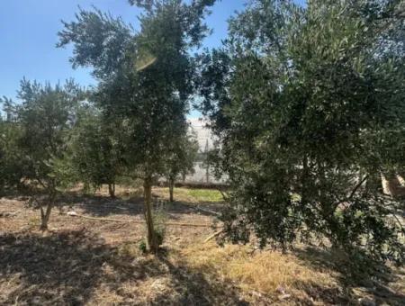 538 M2 Land For Sale In Ortaca Ekşiliyurt