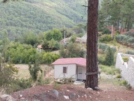 Muğla Köyceğiz Ağla - 535 M2 Land And Tiny House House For Sale In The Plateau