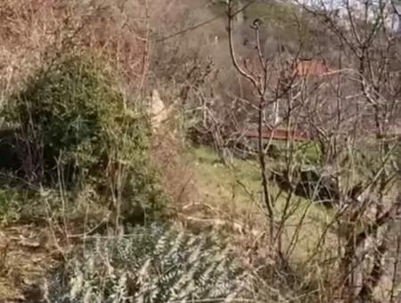 406 M2 Land With 200 M2 Residential Zoning In Muğla Menteşe Zeytinköy For Sale