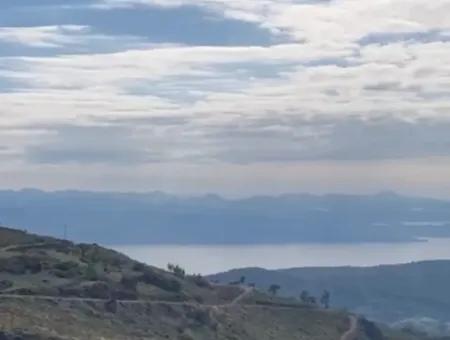 406 M2 Land With 200 M2 Residential Zoning In Muğla Menteşe Zeytinköy For Sale