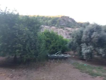 1.300 M2 Detached 250M2 Residential Zoned Land For Sale In Muğla, Ortaca, Karadonlar