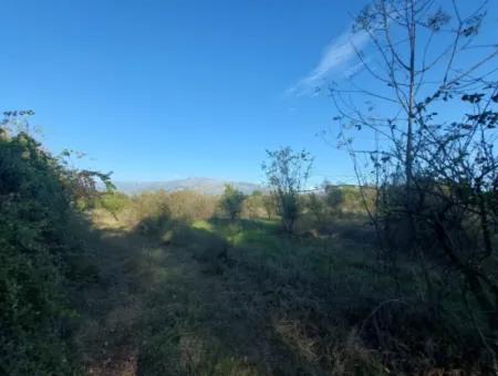 9 600 M2 Land Close To The Lake In Köyceğiz Toparlar Is For Sale