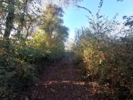 9 600 M2 Land Close To The Lake In Köyceğiz Toparlar Is For Sale