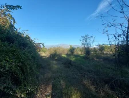 9 600 M2 Land Close To The Lake In Köyceğiz Toparlar Is For Sale