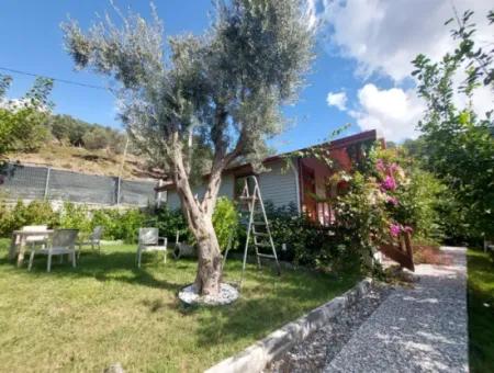 Muğla Ortaca Gökbel Doga With Swimming Pool 1 1 Wooden Furnished Bungalow For Rent
