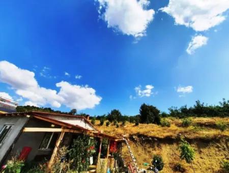 2 1 Houses And 200 M2 Barn On 5 000 M2 Detached Land In Çameli Kızılyaka For Sale