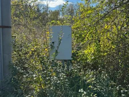 12 000 M2 Field For Sale In Ortaca Yeşilyurt