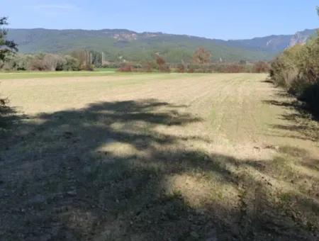 Bargain 6 000 M2 Land For Sale In Muğla Ula Karabörtlende