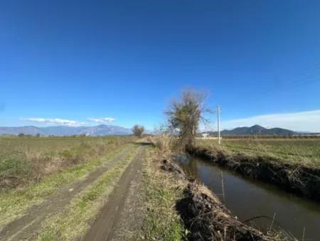 Field For Sale Close To Dalyan, Close To Köyceğiz Lake