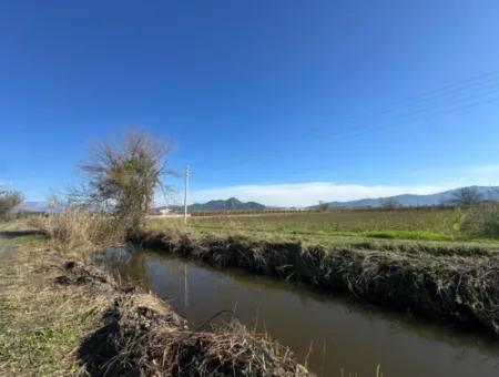 Field For Sale Close To Dalyan, Close To Köyceğiz Lake