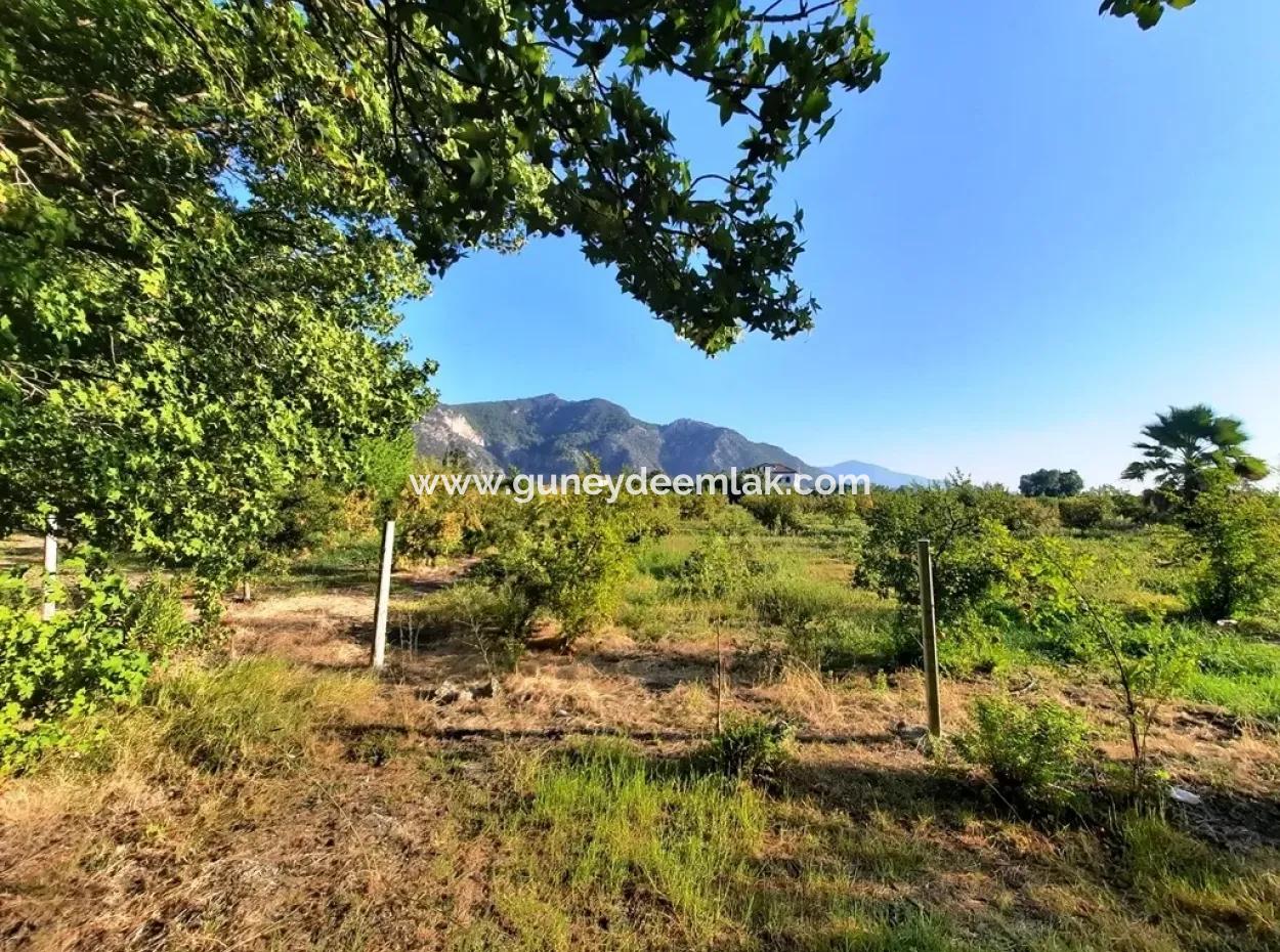 Muğla Dalyan Marmarlıda Satılık Yatırıma Uygun Arazi