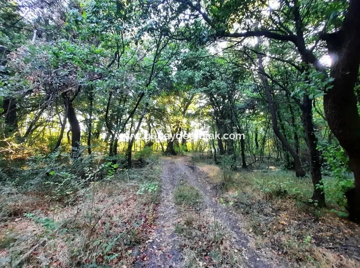 Muğla Dalyan Marmarlıda Satılık Yatırıma Uygun Arazi