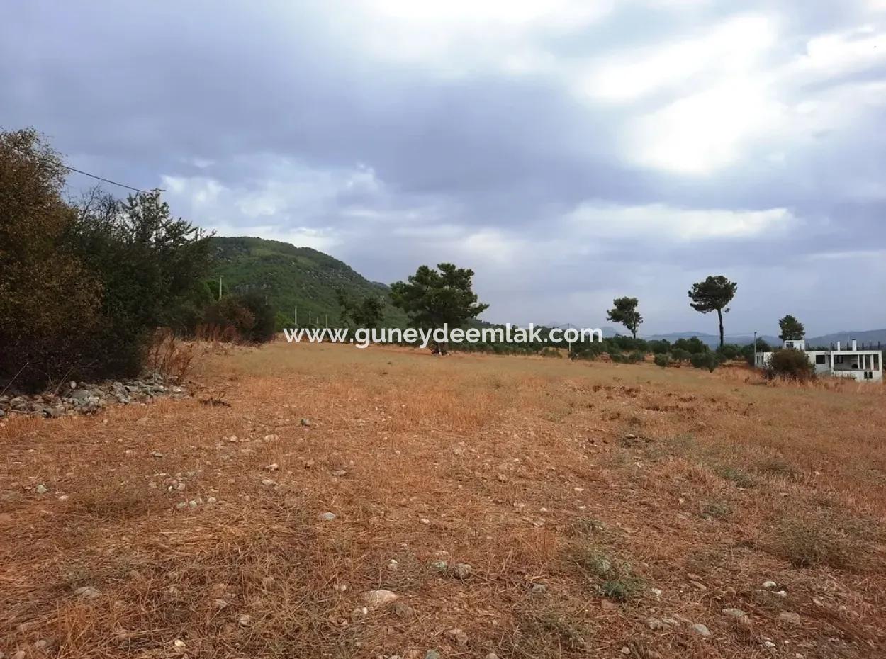 Köyceğiz Zeytinalanında Satılık Göl Manzaralı Müstakil Arazi