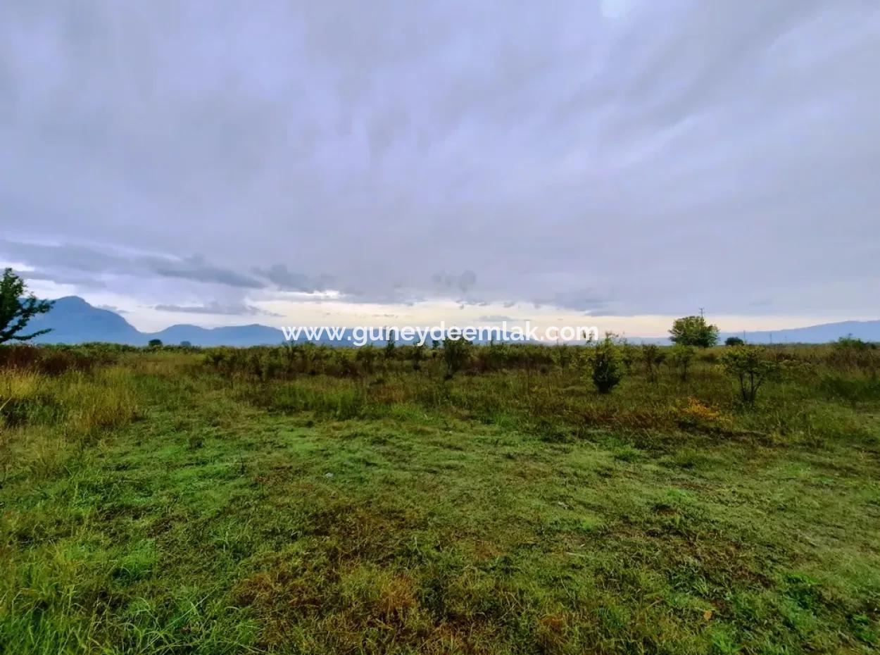 Ortaca Tepearasında 13250 M2 Müstakil Tapulu Kelepir Arazi Satılık