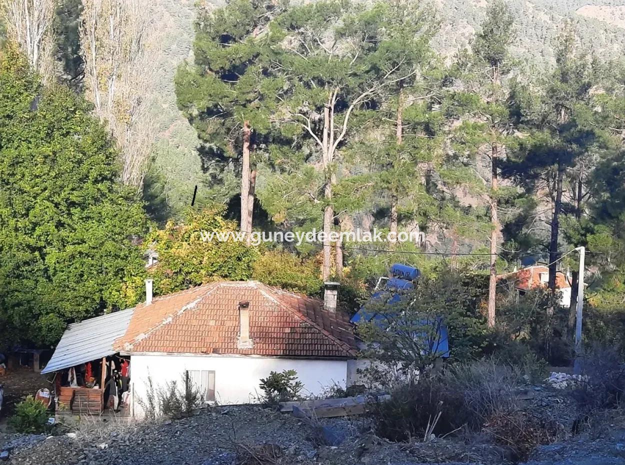 Muğla Dalaman Narlıda Satılık 1800 M2 Kelepir Arazi