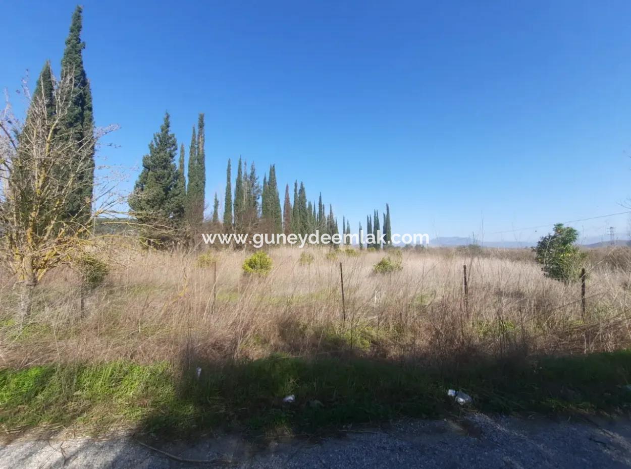 Muğla Ortaca Güzelyurtta Sarıgerme Yolu Cepheli 2256 M2 Tarla Satılık