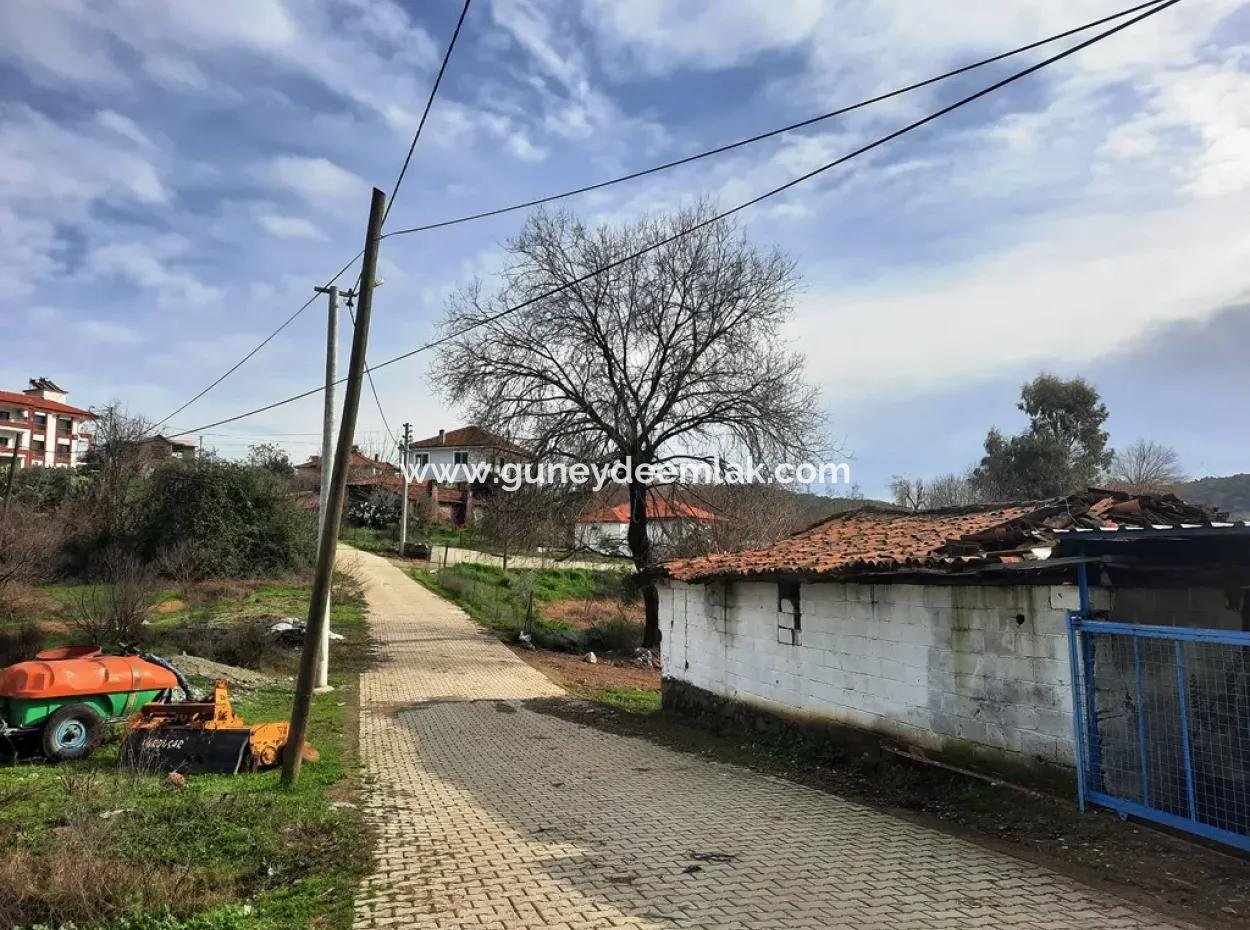 Köyceğiz Zeytinalanında Göle Yakın Satılık İmarlı Arsa