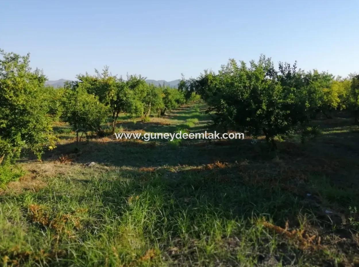 Ortaca Tepearasında Satılık Bahçe