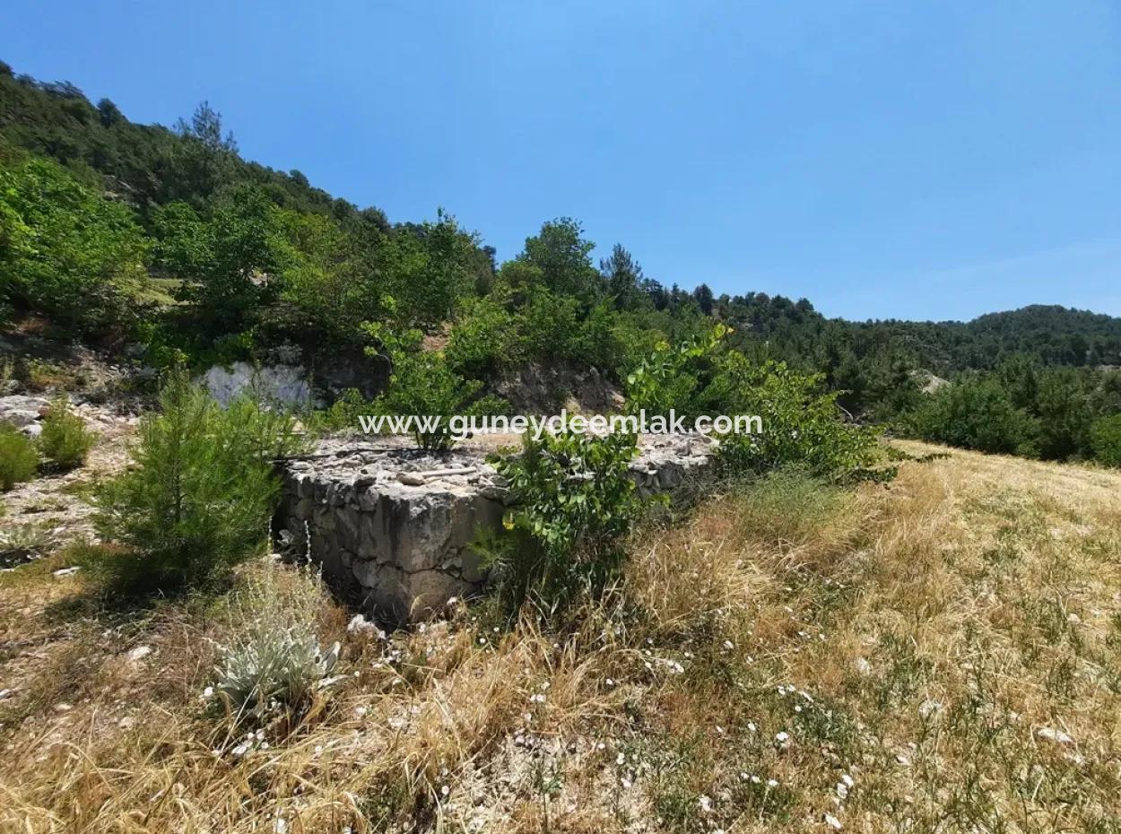 Denizli Çameli Gökçeyakada 2762 M2 Müstakil Arazi Satılık