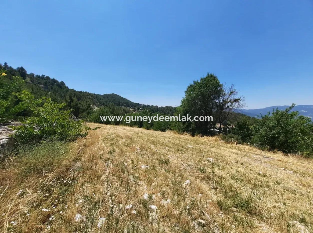 Denizli Çameli Gökçeyakada 2762 M2 Müstakil Arazi Satılık