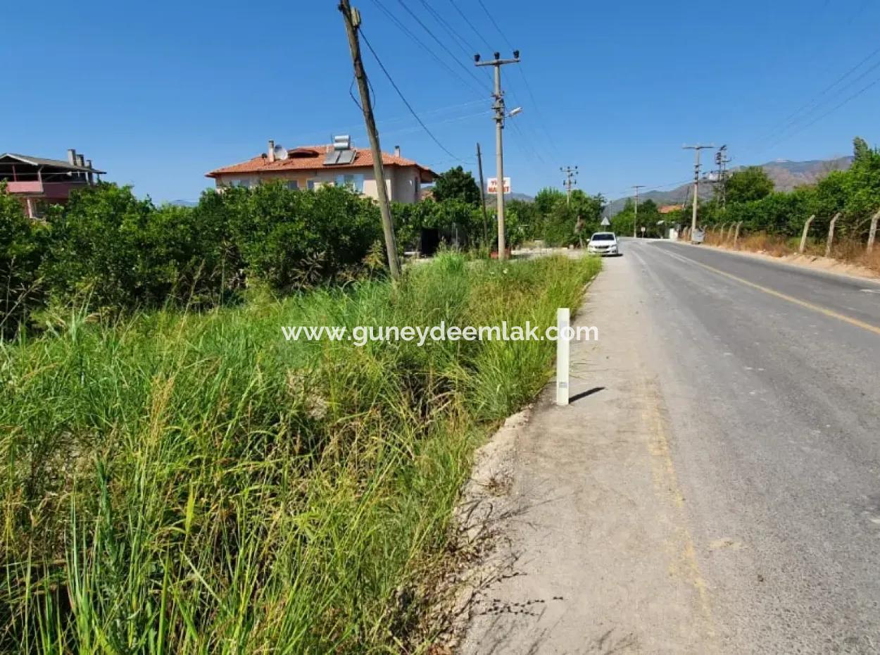 Muğla Ortaca Dikmekavak Mahallesinde 1063 M2 İmarlı Arsa Satılık