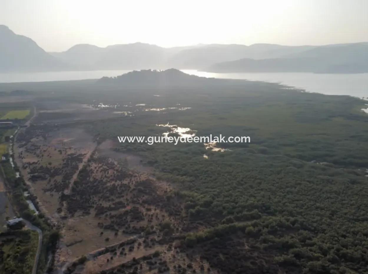 Muğla Ortaca Tepearasında Satılık Nar Bahçesi