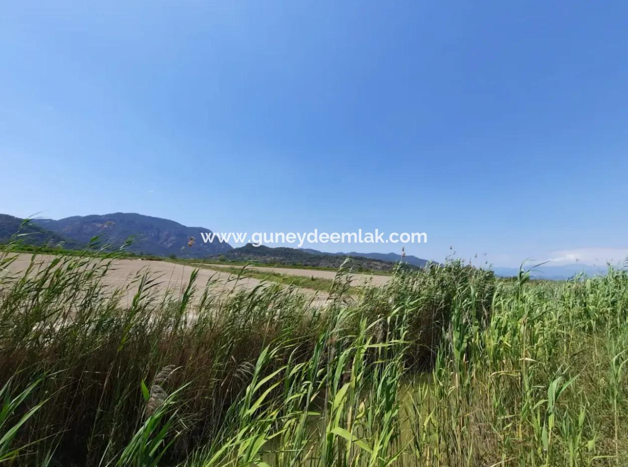 Muğla Ortaca Güzelyurtta Kiralık Verimli Arazi