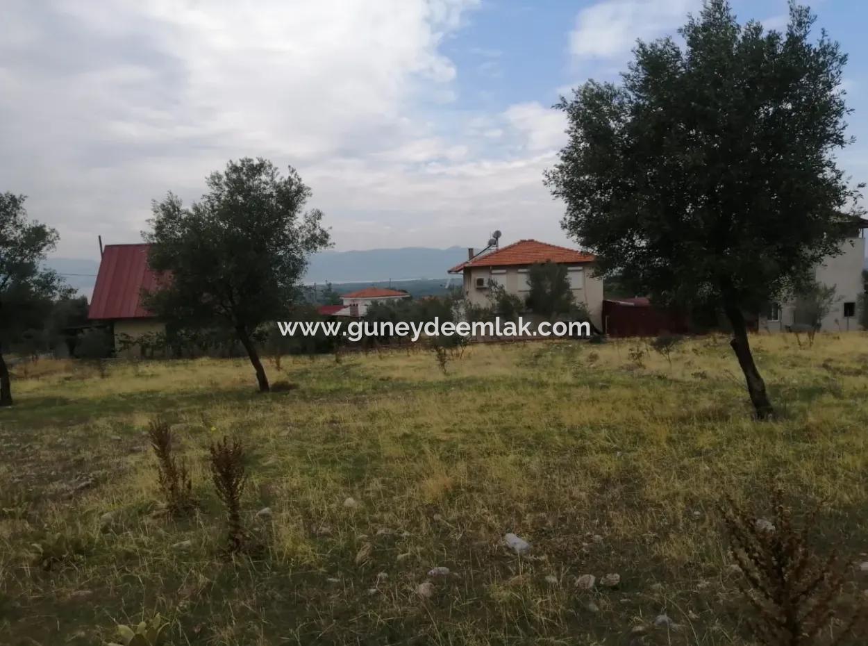 Muğla Köyceğiz Zeytinalanında Göl Manzaralı 2788 M2 Tarla Satılık