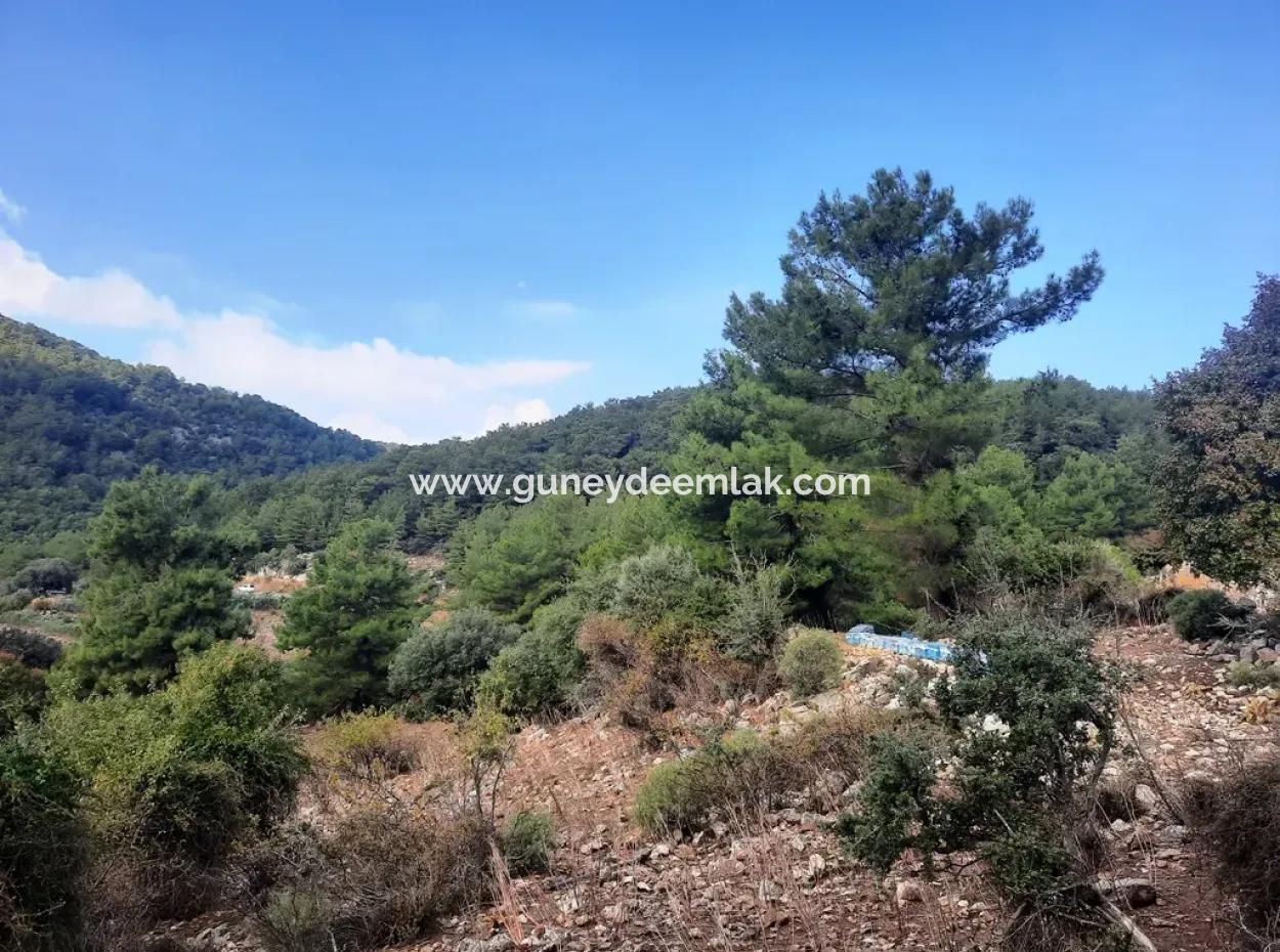 Muğla Dalyan Gökbelde 320 M2 Kelepir Arazi Satılık
