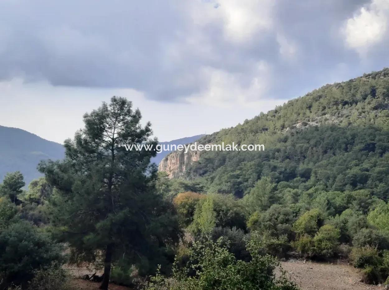 Muğla Dalyan Gökbelde 320 M2 Kelepir Arazi Satılık