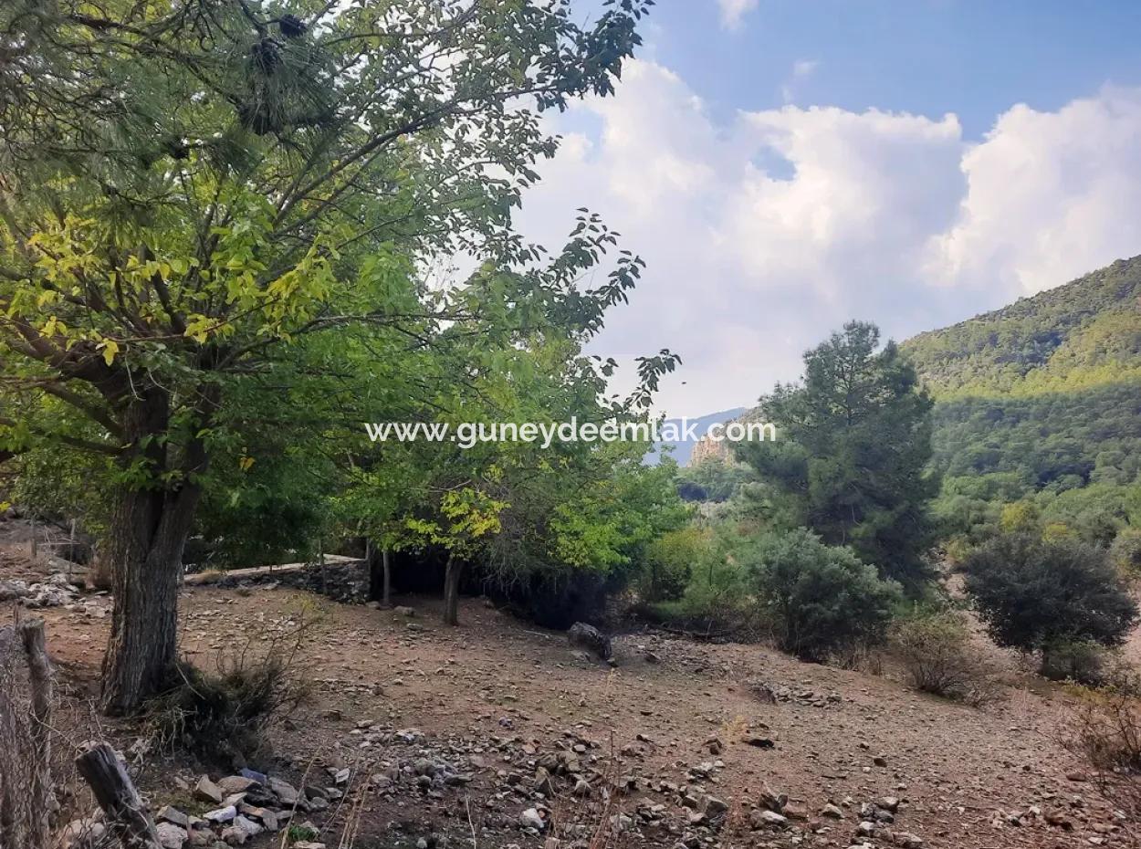 Muğla Dalyan Gökbelde 320 M2 Kelepir Arazi Satılık