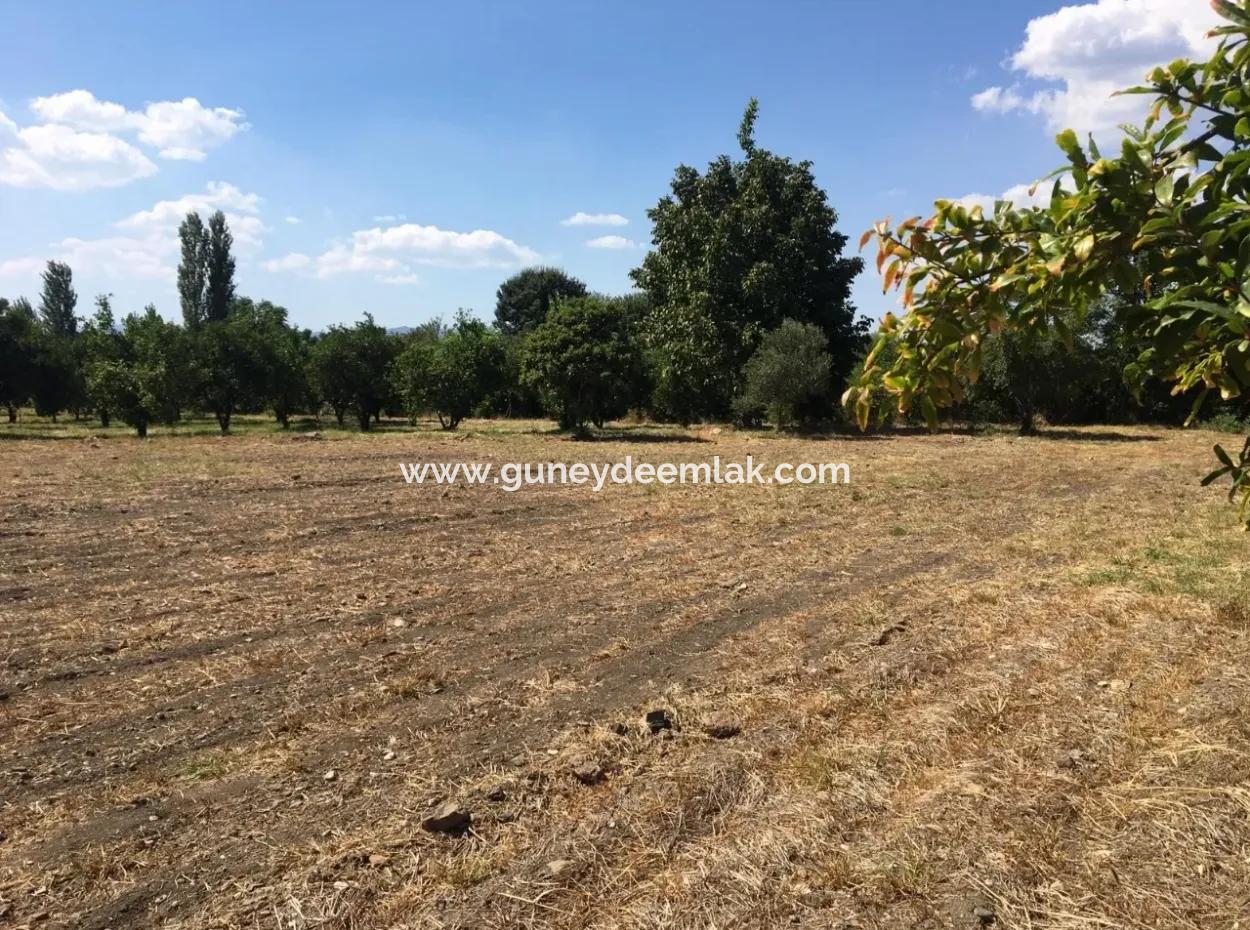 Köyceğiz Köyceğiz Mah. Satılık Köy Evi