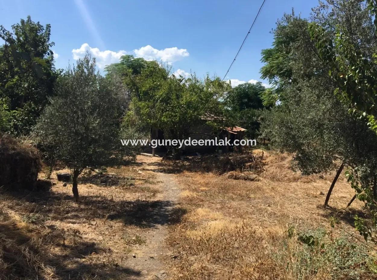 Köyceğiz Köyceğiz Mah. Satılık Köy Evi