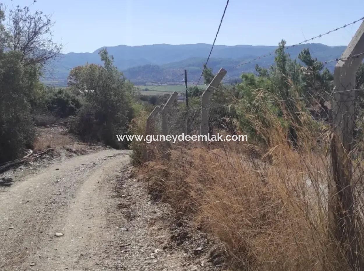 Ula Esentepede 4 200 M2 Deniz Manzaralı Arazi Satılık