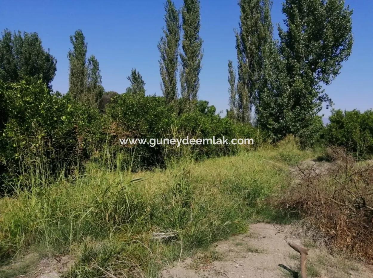 Köyceğiz Kavakarasında Satılık Tarla