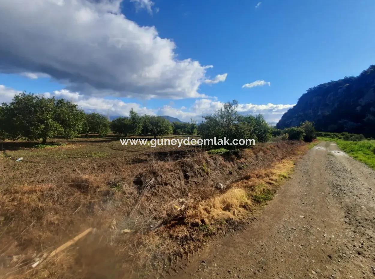 Muğla Ortaca Okçular Marmarlı Da 20.000 M2, İmar Planında Arazi Satılık