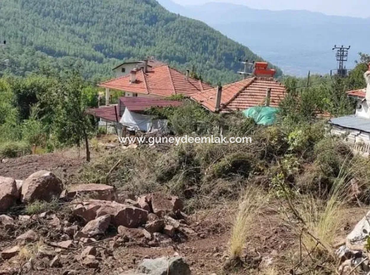 Muğla Köyceğiz Yayla Mah 570 M2 Arsa Satılık